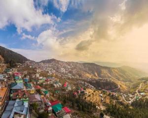 Shimla